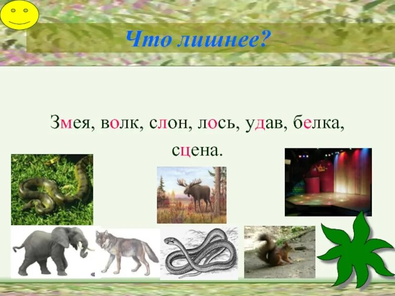 Слон лось. Удалось удав и Лось. Удалось картинка удав и Лось.