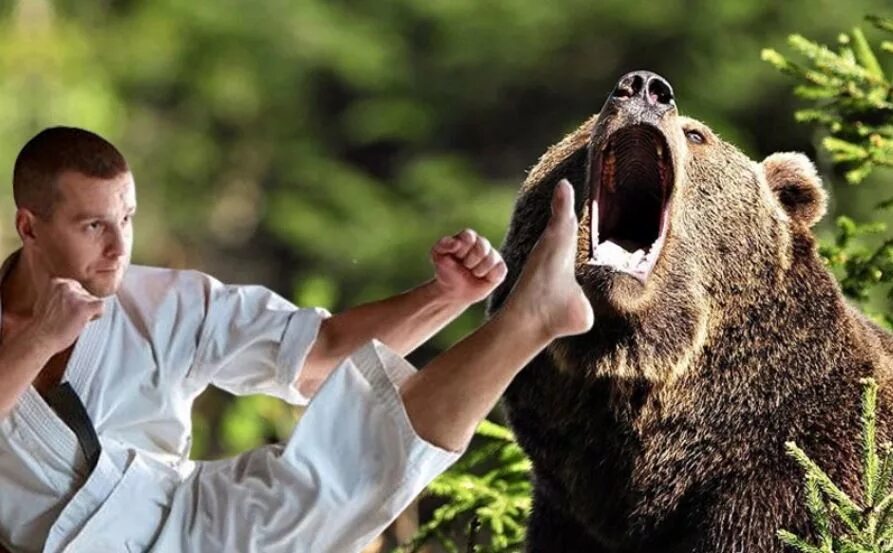 Вербер медведь оборотень. Картинки человека медведя. Животные в одежде. Медведь испугался. Медведь гризли рядом с человеком.