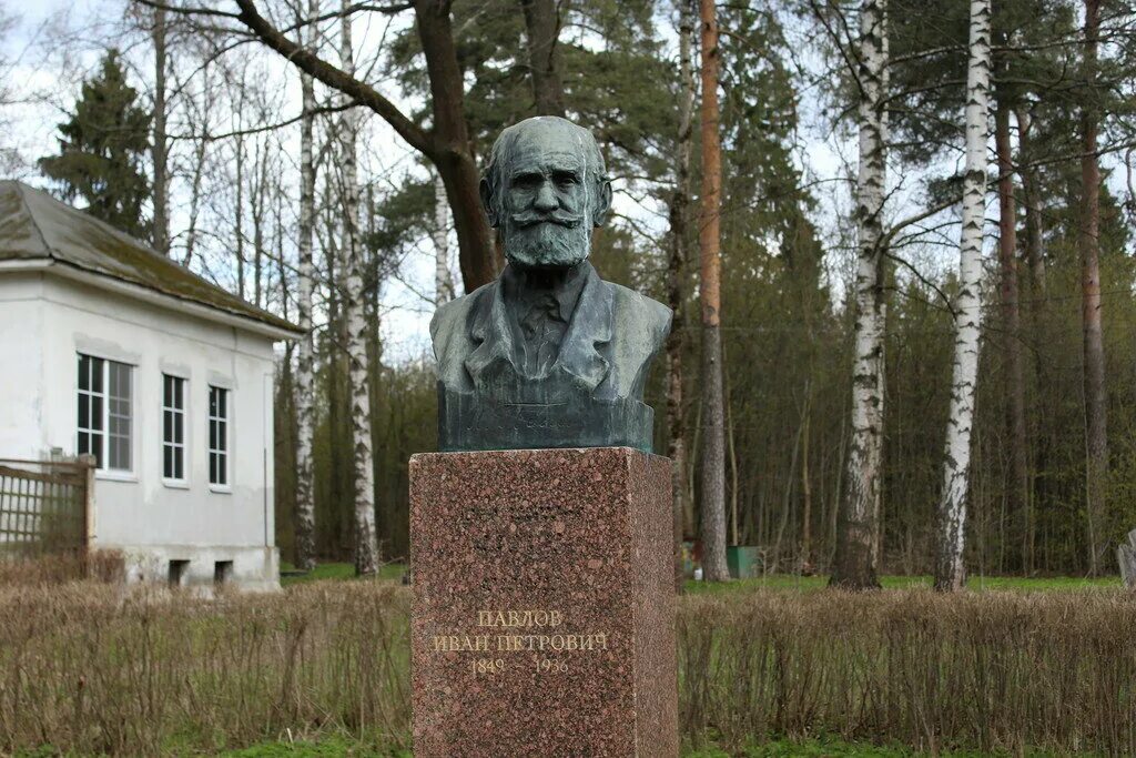 Г п павлово. Колтуши памятник Павлову. Памятник Павлову в Колтушах Ленинградской области.