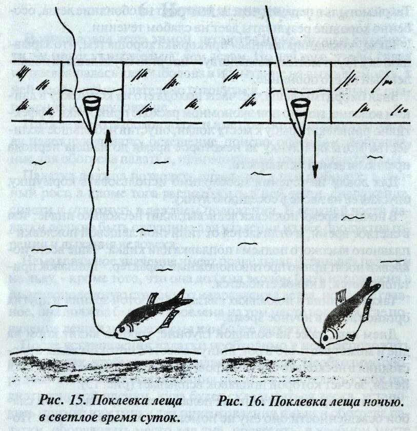 Где леща зимой. Оснастка для зимней рыбалки на леща зимой. Снасть на леща зимой на реке. Поплавочная снасть на леща зимой на течении. Зимняя поплавочная снасть на леща на течении.