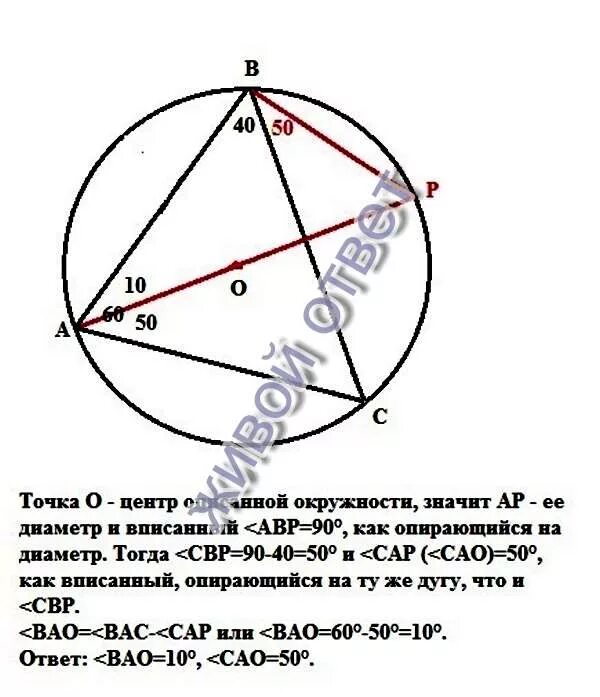 Центр окружности описанной около треугольника ABC. Центр окружности описанной около треугольника АВС. Точка о -центр окружности описанной около. Описанная окружность остроугольного треугольника. Точка а центр окружности авсд