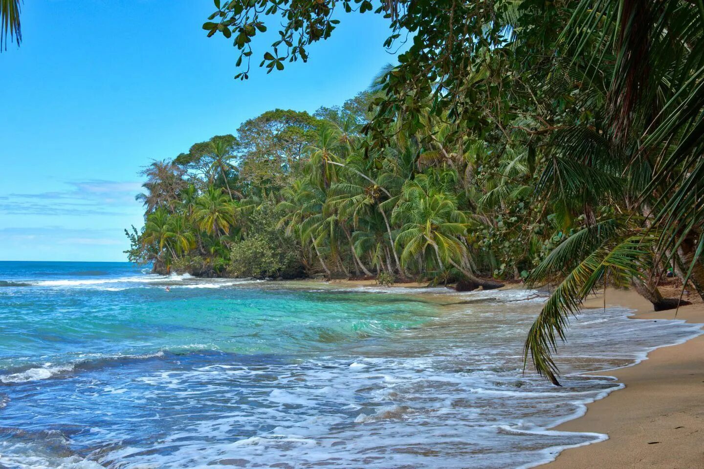 Коста Рика пляжи. Playa Ostional, Коста-Рика. Playa Manzanillo пляж. Manzanillo Costa Rica.