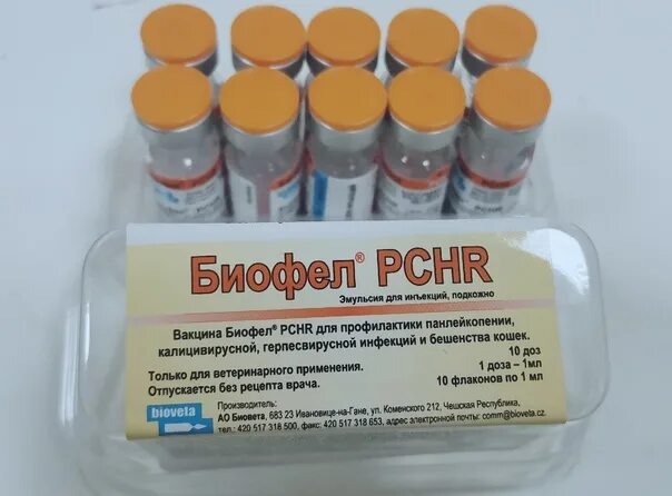 Pchr вакцина. Вакцина Биофел PCHR. Биофел вакцина для кошек. Биофел вакцина PCHR для кошек. Биофел с бешенством вакцина для кошек.