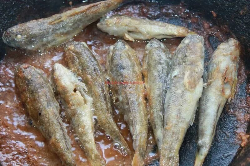 Недорогая рыба для жарки. Презентация о блюде рыба. Турецкая рыба чупра. Хамса блюдо. Мелкая рыба для жарки.