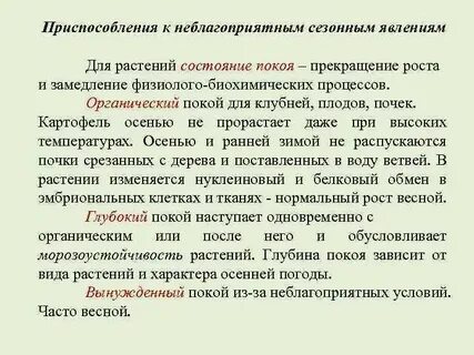 Какая ткань защищает растения от неблагоприятных воздействий