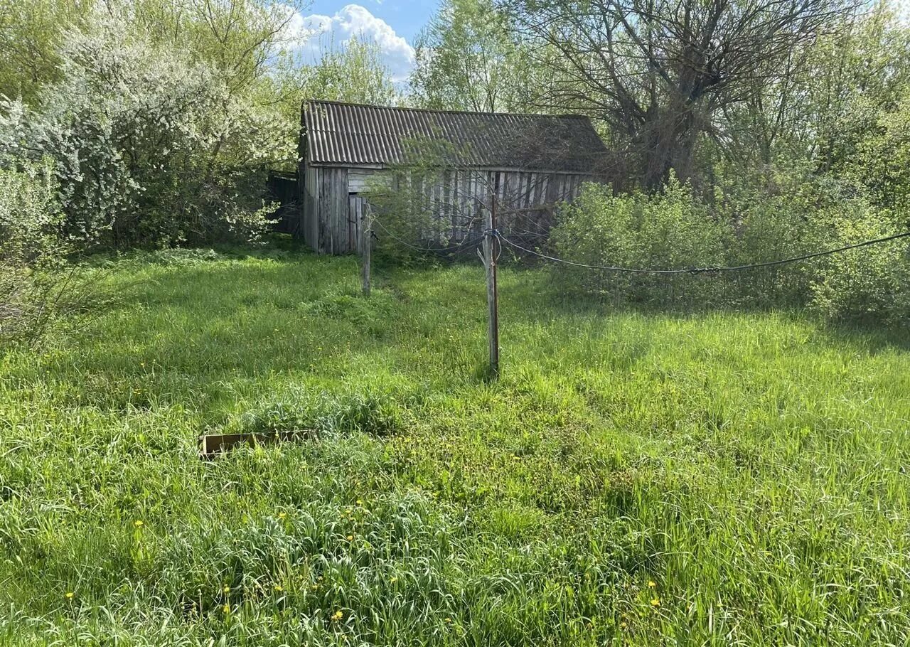 Сосновка тамбовская область. Новое грязное тамбовская область. Село новое грязное тамбовская область. Село новое грязное тамбовская область. Новая ляда тамбовская область видео.