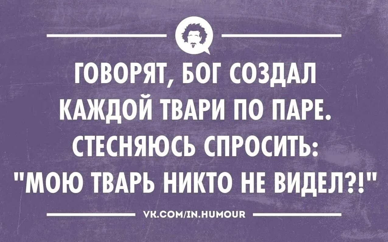 Сказал бог сотворим. Цитаты про людей тварей. Интеллектуальный юмор сарказм. Говорят Бог создал каждой твари по паре. Говорят Бог создал каждой тварей по паре стесняюсь спросить.