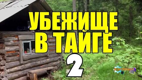 Рассказ выжили в тайге