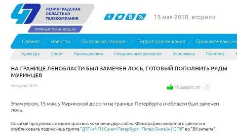 Запись в ленинградскую областную