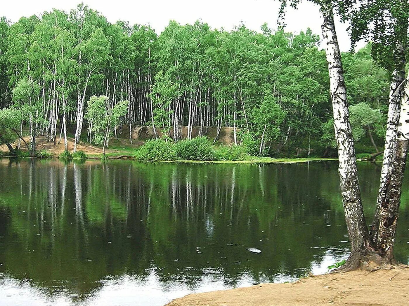 Озеро русские песни. Озеро Лесное Нижний Новгород. Березовая роща озеро Ивановская область. Озеро Березовое Березово. Озеро Лесное Нижний Новгород Автозаводский район.