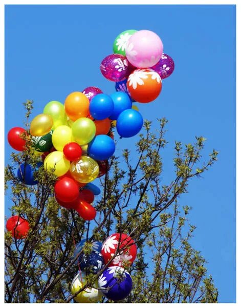 Воздушные шары весной. День приручения воздушных шариков. День отправки весточки весне на воздушном шаре.