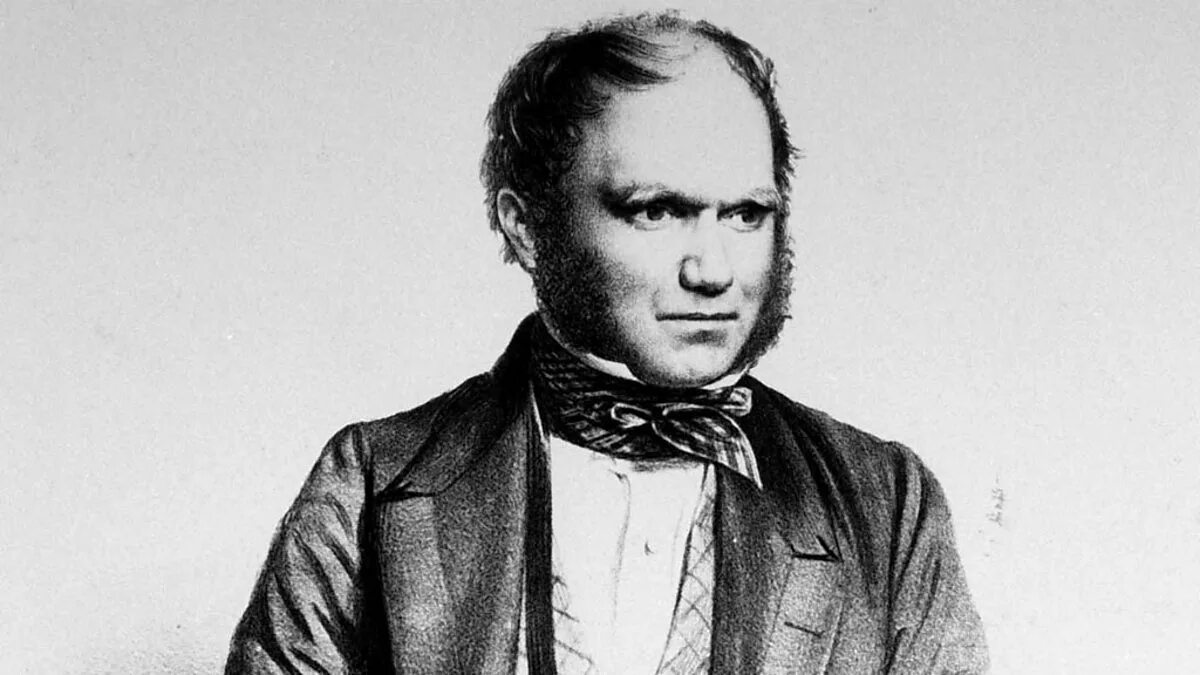 Дарвин портрет в молодости. Молодой дарвин. Молодой дарвин. Молодой дарвин. Чарлз дарвин в молодости.