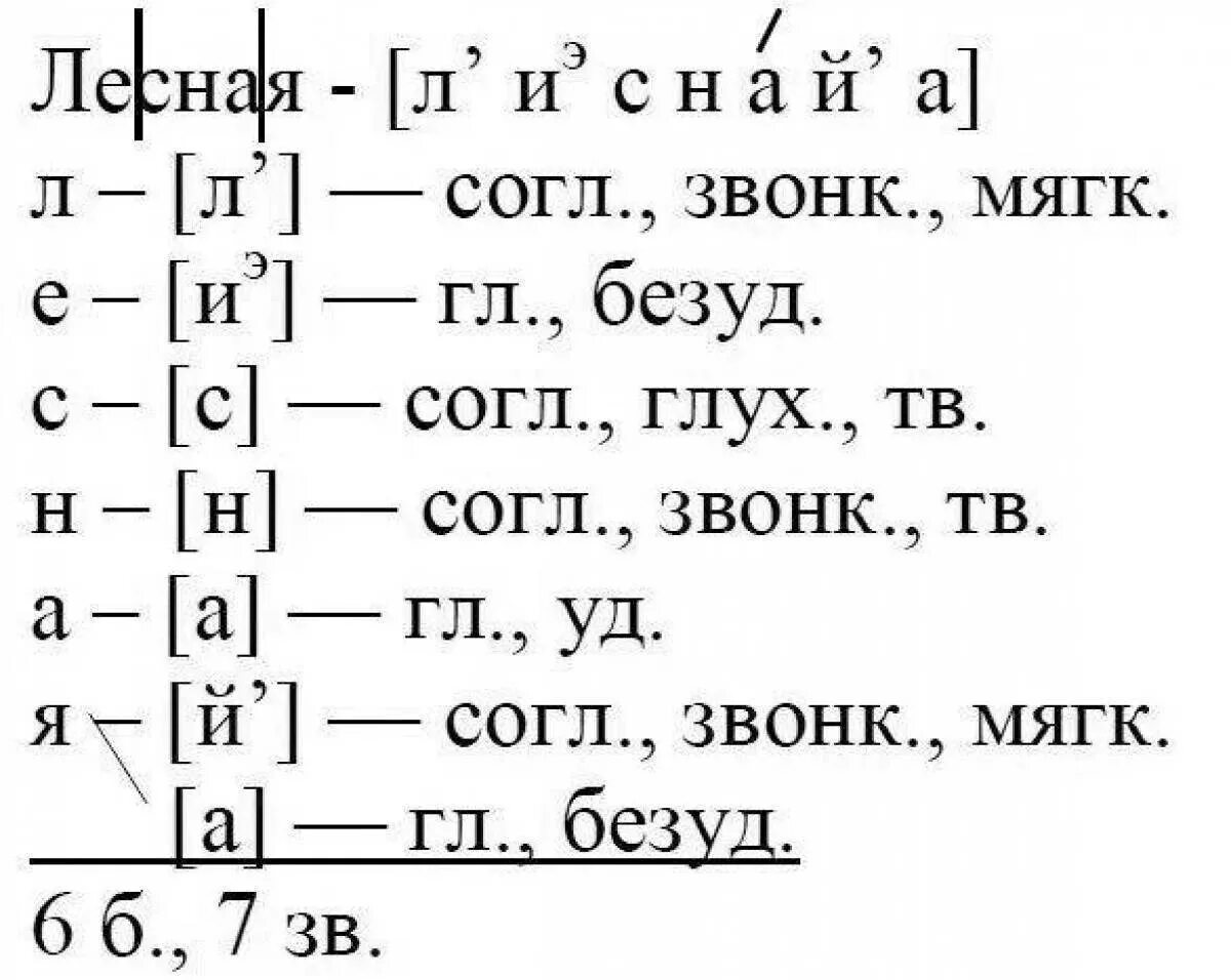 Располагает фонетический разбор. Фонетический разбор слова 2 звука. Фонетический разбор слов примеры буквы. Фонетический разбор слова лес. Фонетический разбор слова 6кл.