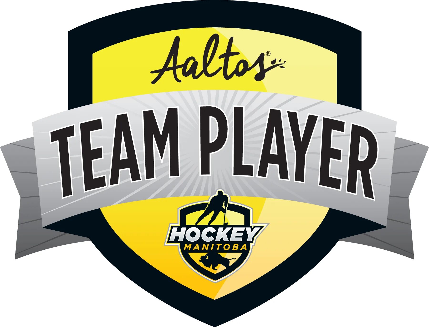 A good team player is. Team player. team 1 player 6. we play team. easyways team play.