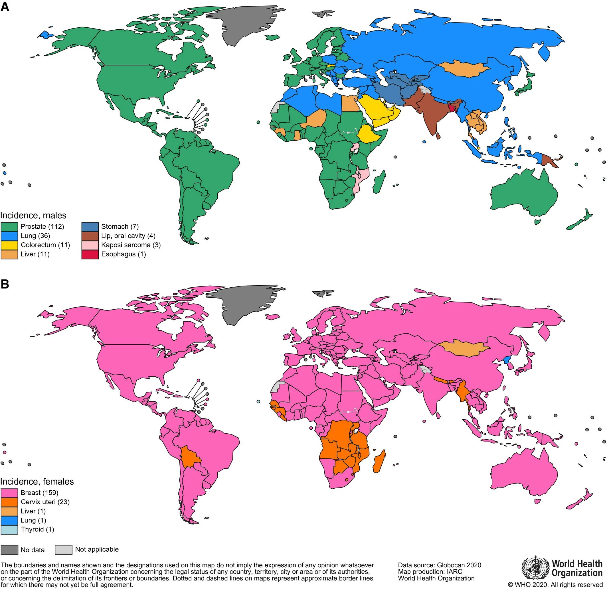 GLOBOCAN 2022. Cancer incidence. Cancer incidence statistics. Estimated Cancer incidence 2020. Among the countries