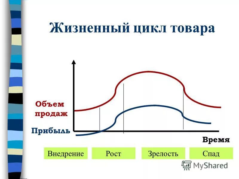 Жизненный цикл товара. Этапы жизненного цикла товара. Понятие жизненного цикла товара. Жизненный цикл товара и прибыль.