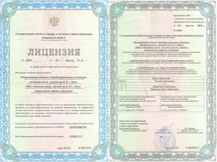 Получить выписку лицензии на образовательную деятельность