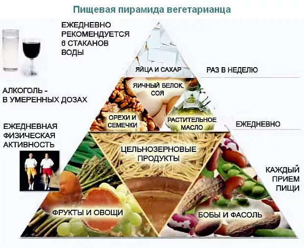 Что едят вегетарианцы продукты. Пирамида питания вегетарианца. Вегетарианство рацион. Рацион вегетарианца. Пищевая пирамида веганов.