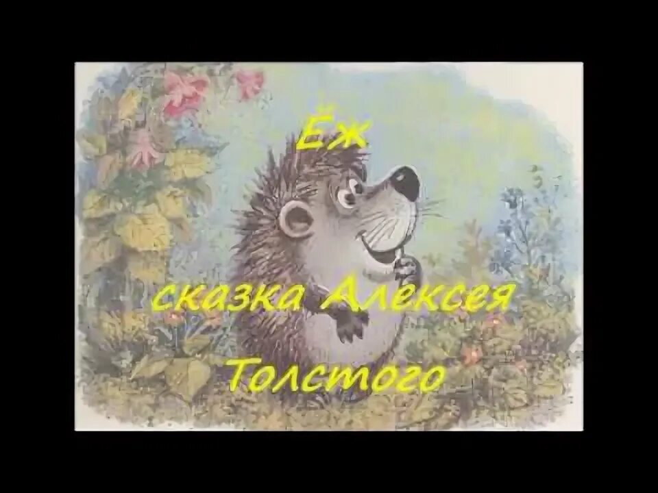 А н толстой еж. А.н. толстой сказка еж. ёж толстой сказка. толстой еж рассказ.