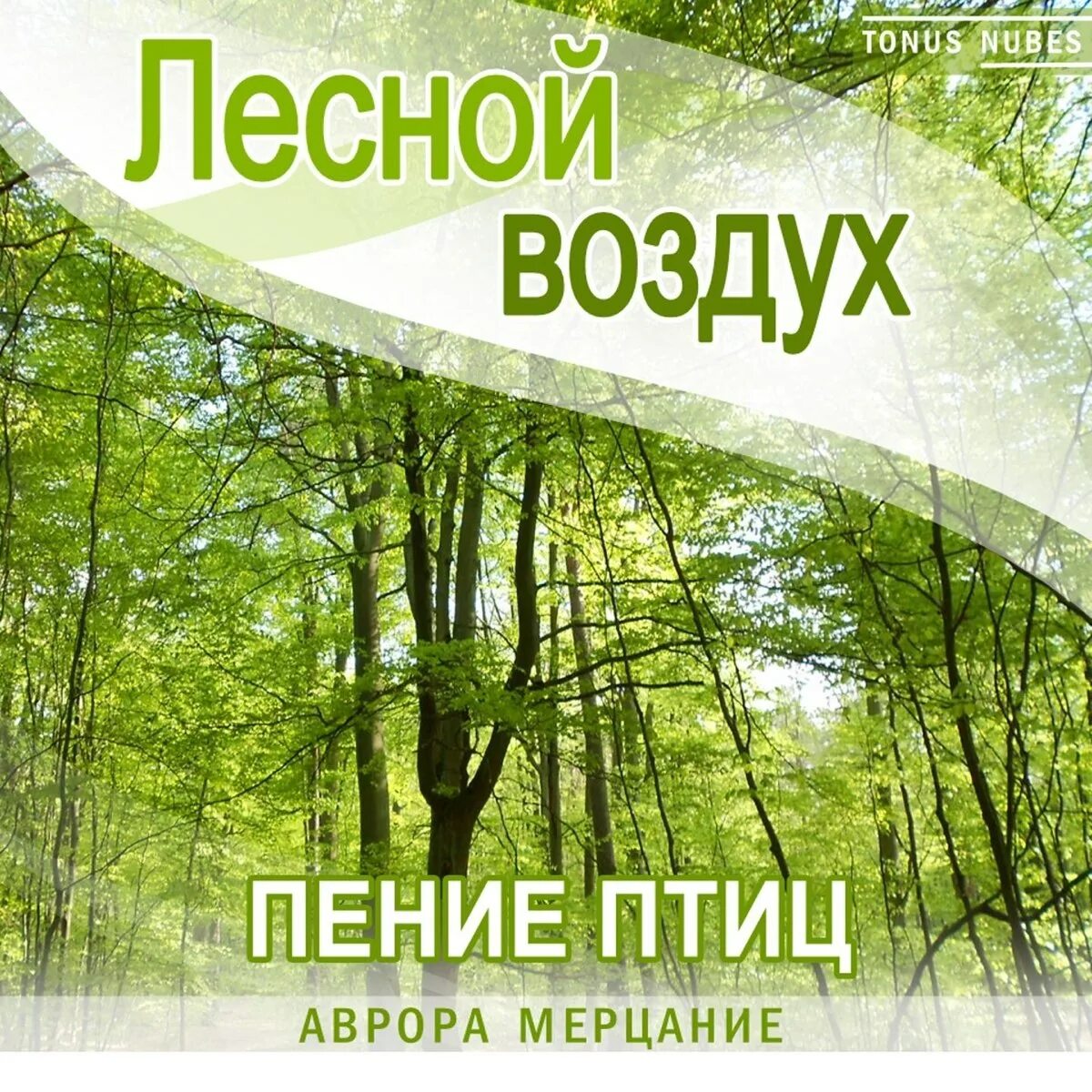 Звуки природы для релаксации. Лесной воздух. Звуки леса. Воздух в лесу.