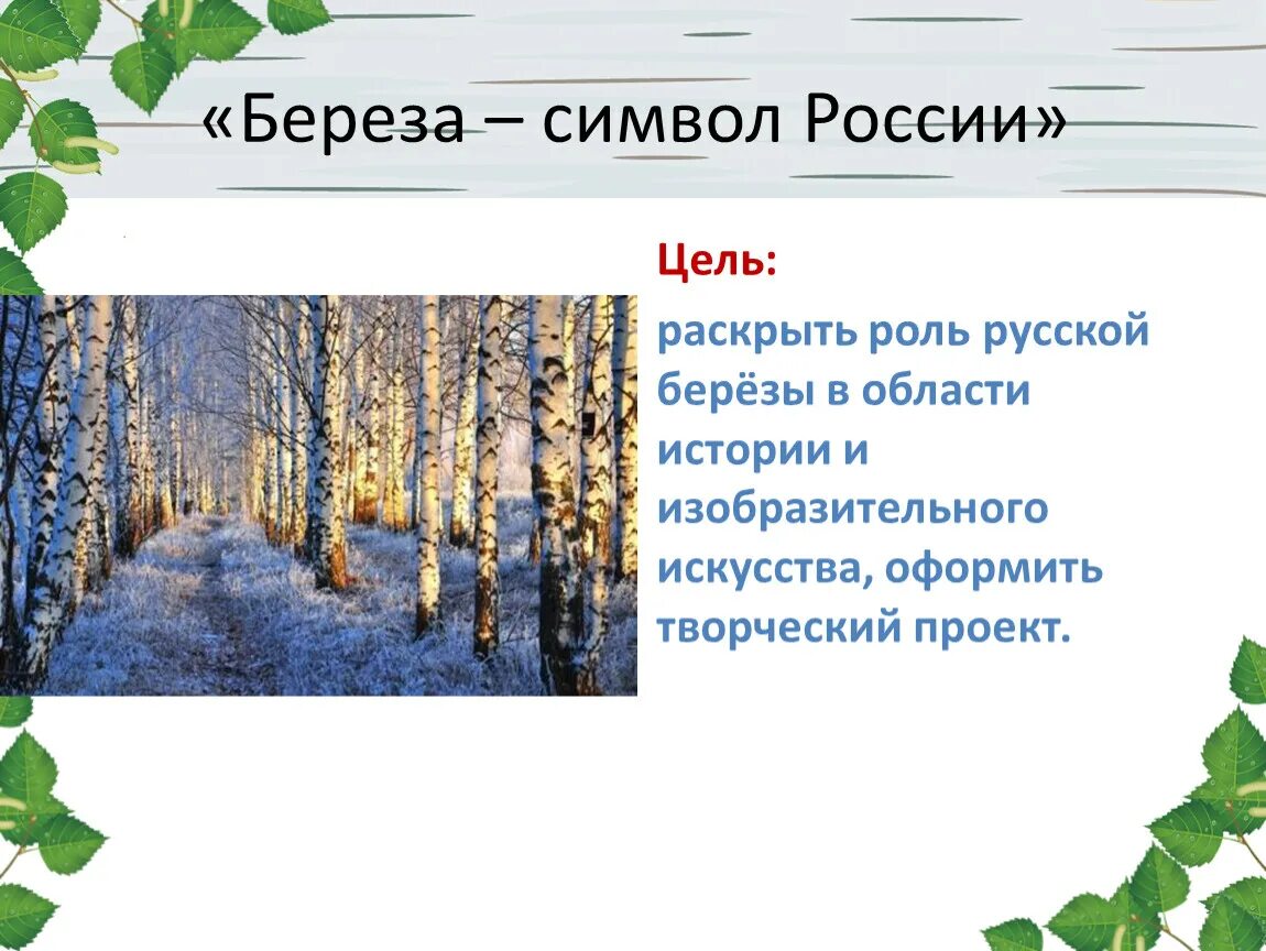 Береза символ россии презентация. Береза символ России. Проект береза символ России. Береза для презентации. Неофициальные символы России береза.