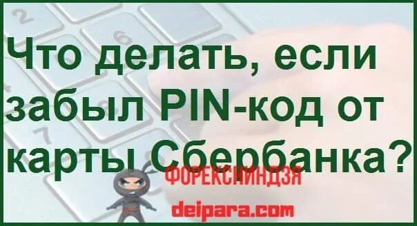 Если забыл пин код карты. Если забыл пин код карты Сбербанка. Что делать если забыл пин код карты. Если забыл пинкод карты Сбербанк.