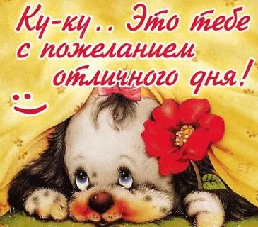 i?id=770932fabc033793da978e07a09083ccf6452c12-10889692-images-thumbs&n=13