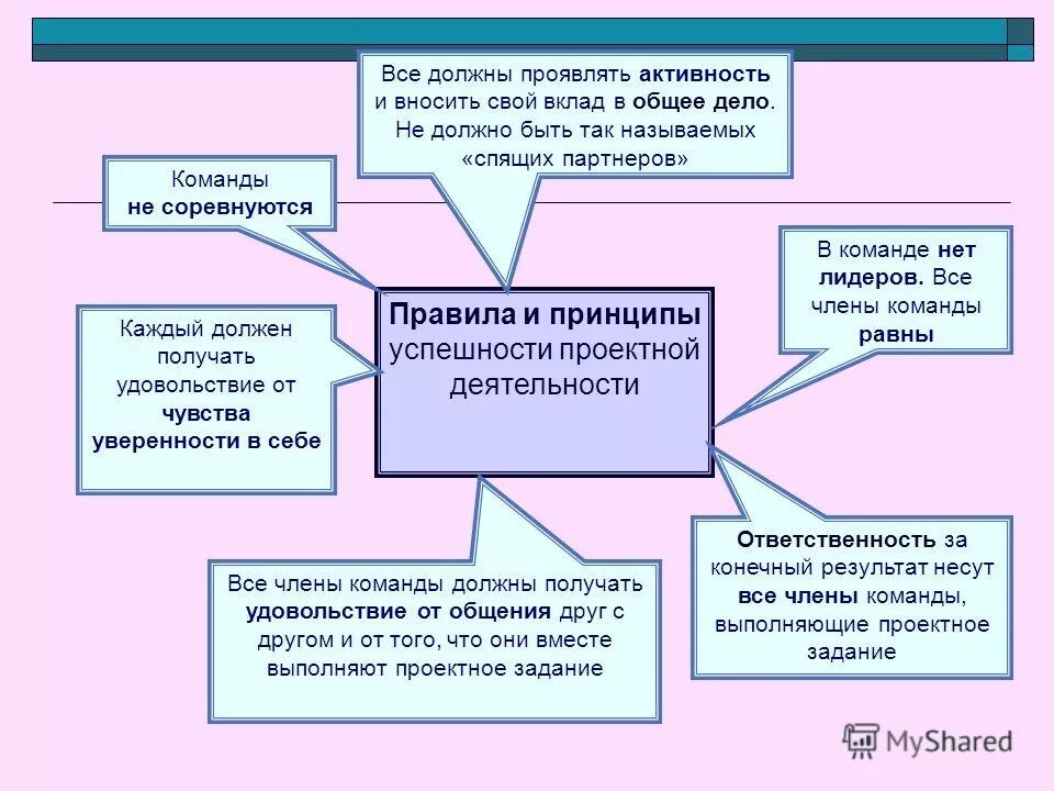 Принципы проектной деятельности. Принципы организации проектной деятельности. Совместная деятельность в проектной команде.. Главный принцип проектной деятельности.