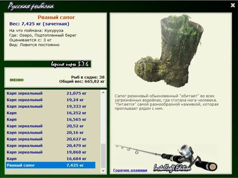 Рваные сапоги. Масса коробки обуви. Сколько весят ботинки. Ботинки рабочие 47 размер. Сколько весят ботинки.