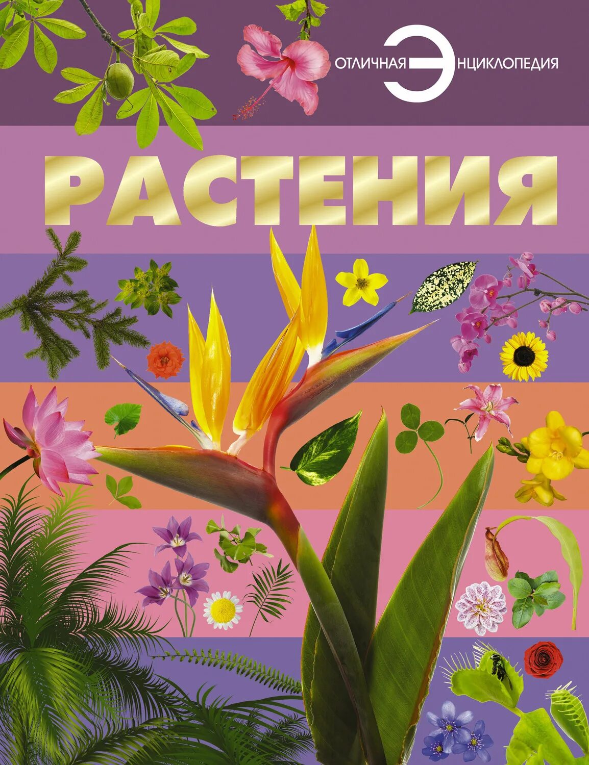 Читать книгу о растениях