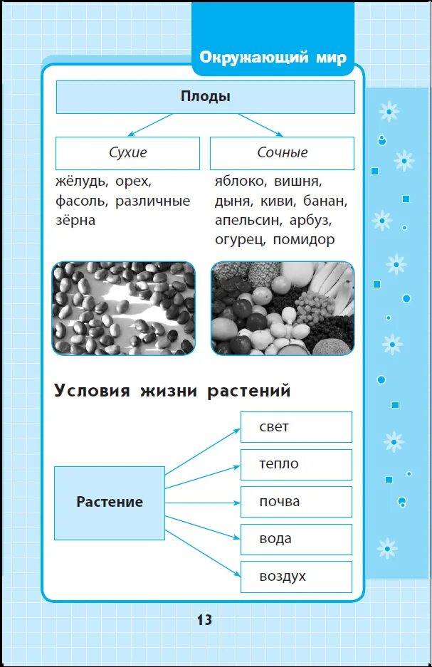 Таблицы окружающий мир 1 класс. Наглядные пособия по окружающему миру. Таблицы окружающий мир 1 класс. Наглядные пособия для начальной школы по окружающему миру. Типы стай птиц.