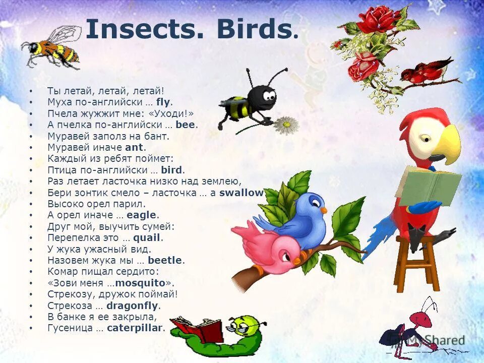 Стих на английском языке про птицу. Стихи на английском языке для детей. Стихотворение на англ языке. Стишки на английском с насекомыми.