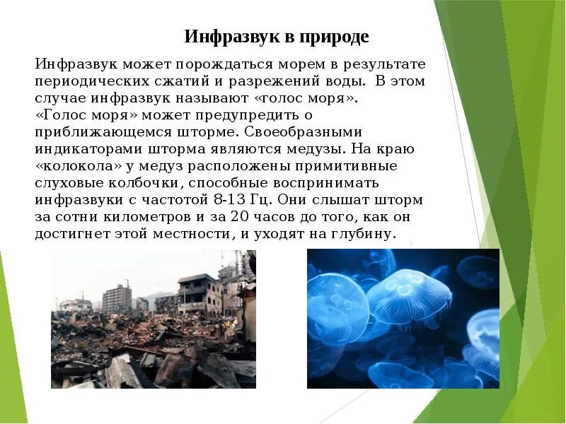 Ультразвук и инфразвук физика. Ультразвук и инфразвук в природе. Инфразвук в технике. Ультразвук и и нфрозвук в природе.