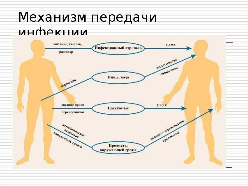 Возможные источники инфекции. Механизмы и пути передачи возбудителей инфекционных болезней. Механизмы передачи инфекционных возбудителей. Механизмы, пути и факторы передачи возбудителя. Механизм передачи возбудителя инфекции.