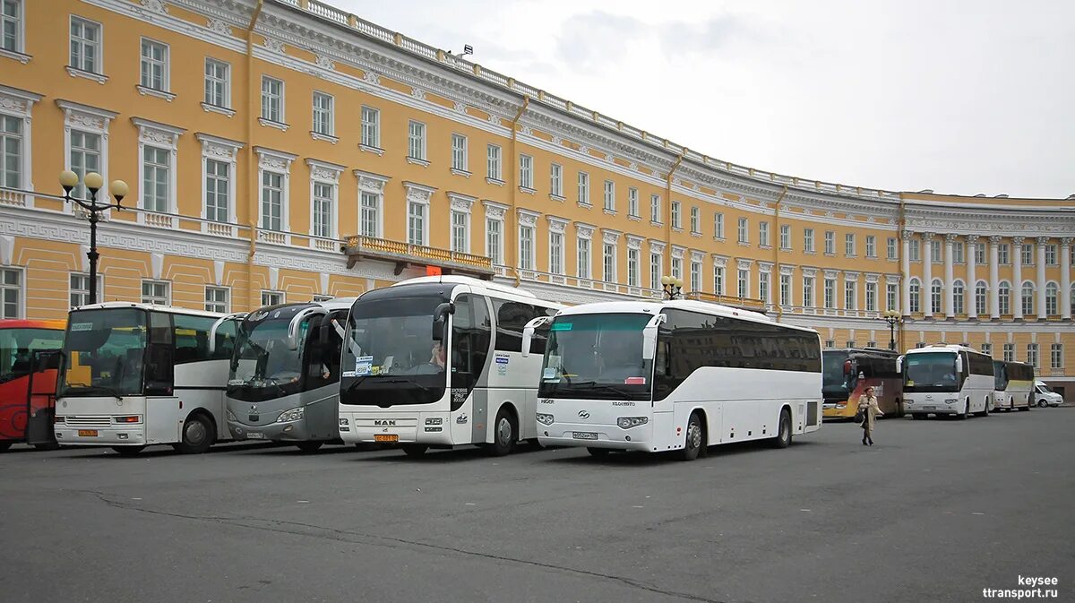 Автобусы спб рыбацкое. Автобус Санкт-Петербург. Экскурсионные автобусы в Санкт-Петербурге. Автобусы в Питере. Туристические автобусы в Санкт-Петербурге.