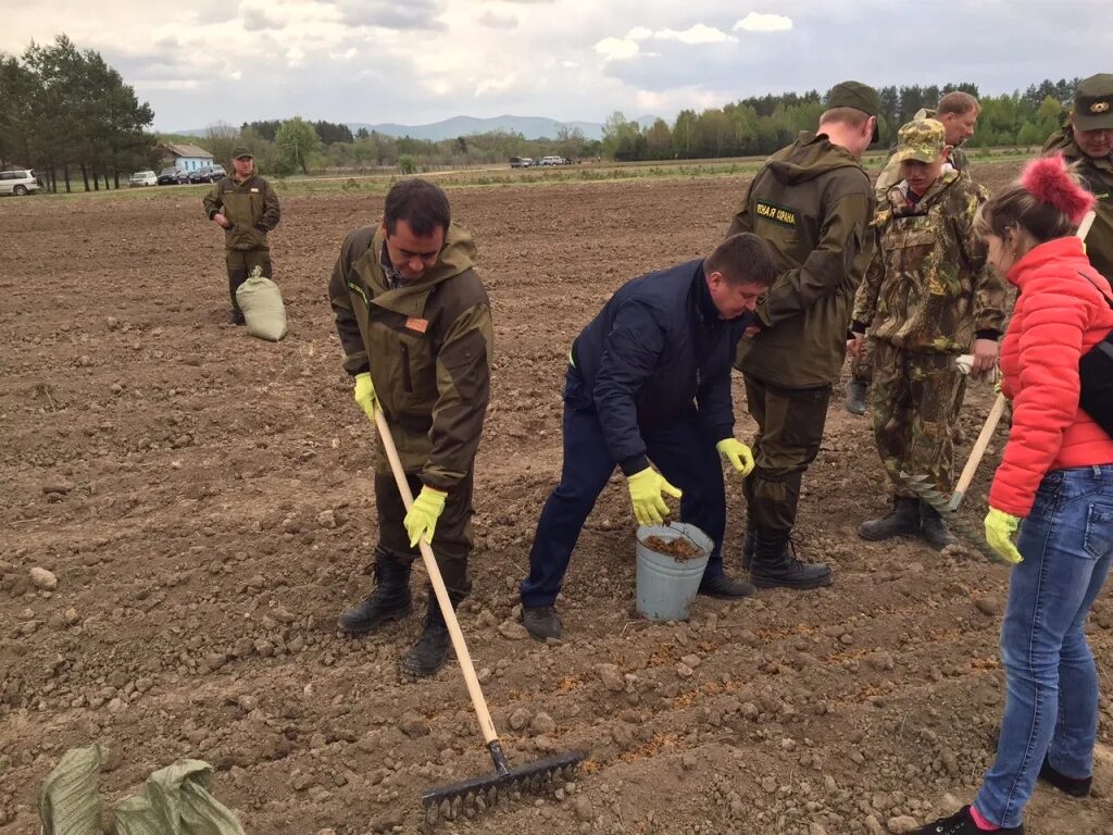 Фото коллектива усольского свинокомплекса. Работа в михайловском районе приморского края свежие. Администрация михайловского муниципального района. Михайловский муниципальный район приморского края. Село ленинское, михайловский район.