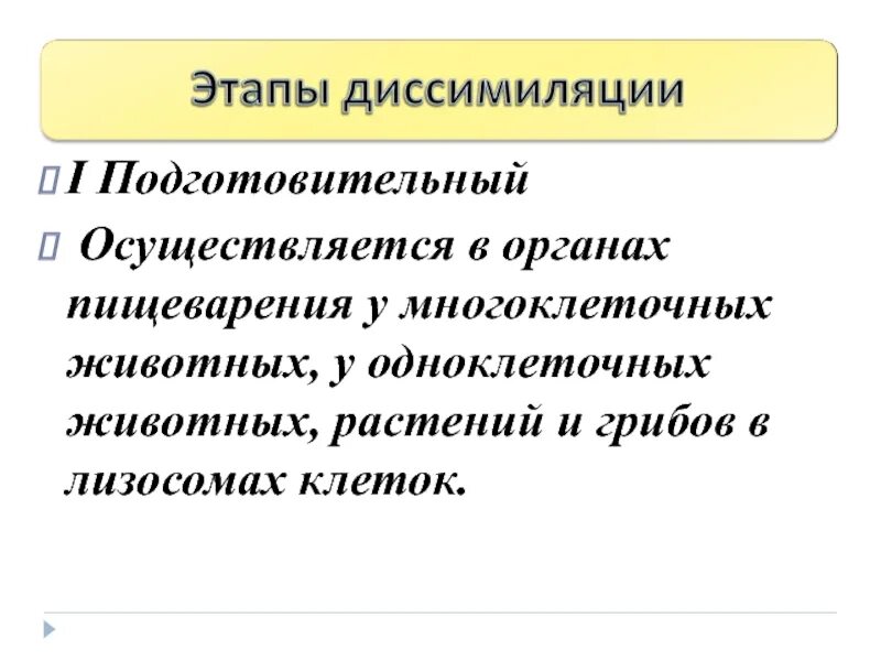 Процесс диссимиляции соответствует. Этапы диссимиляции. подготовительный этап диссимиляции. этапы диссимиляции в биологии. подготовительный этап диссимиляции у человека происходит.