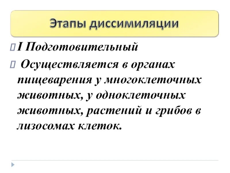 Этапы диссимиляции. Подготовительный этап диссимиляции. Процесс диссимиляции этапы. Этапы диссимиляции в биологии. Диссимиляция в биологии