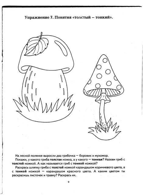 Грибы задания для детей 3-4 лет. Толстый тонкий задания для дошкольников. Грибы задания для дошкольников. Понятие высокий низкий дошкольникам.