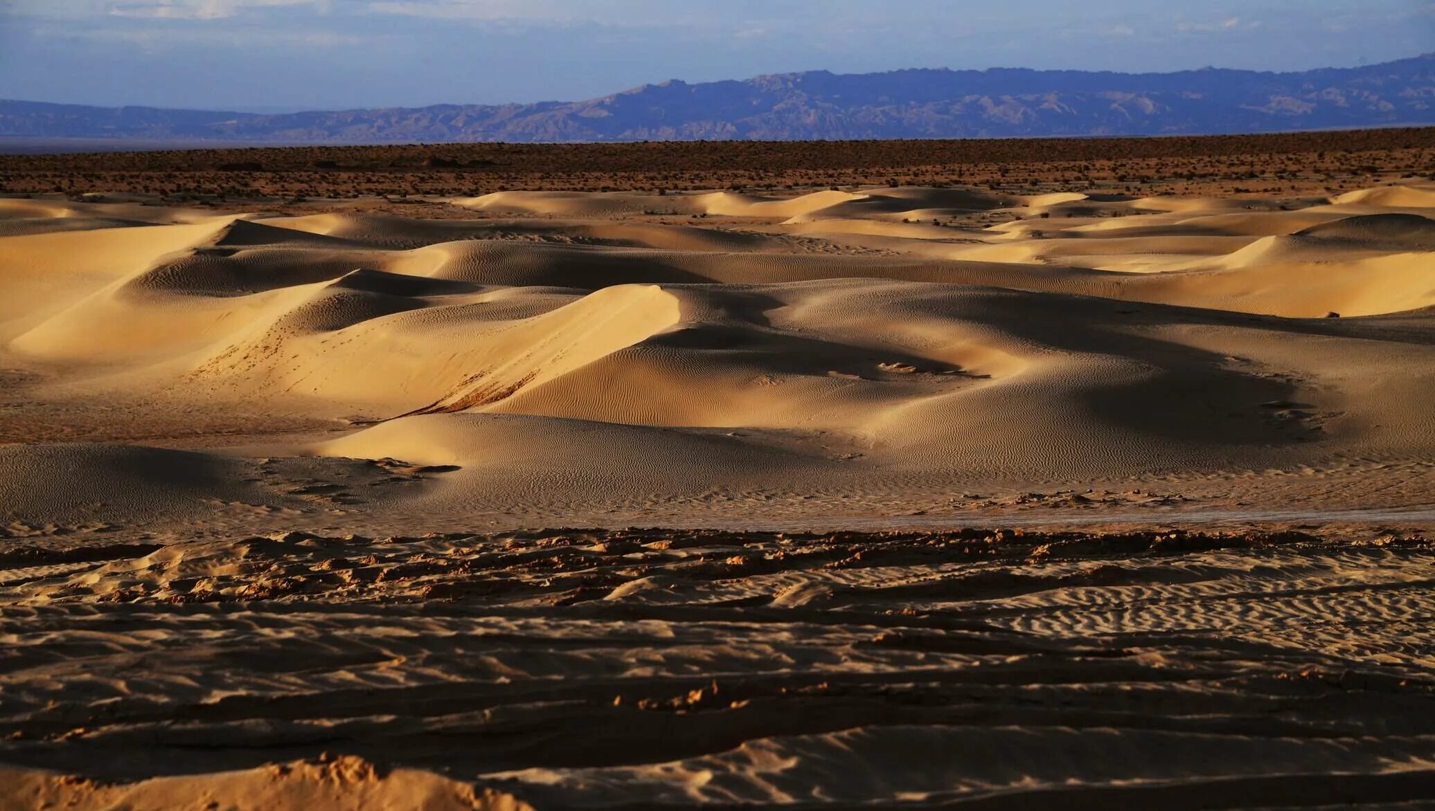Наибольшая пустыня в мире. Озеро Шотт-Эль-Джерид. Таджикистан пустыня. Самая большая пустыня.