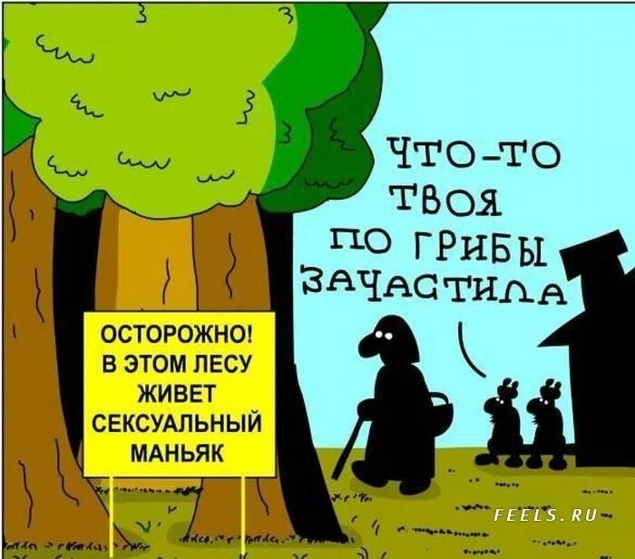 Что будет если выйти ночью 2 августа. Анекдоты про лес. Анекдоты про грибы в картинках. Анекдоты про маньяков в картинках. Шутки про грибы.