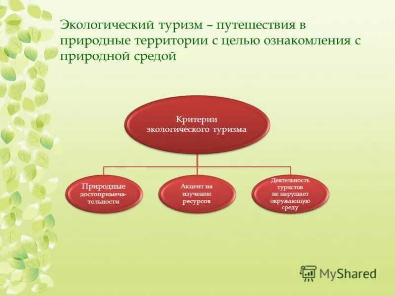 Научно популярный туризм концепция. Подвиды экологического туризма. Экологический туризм схема. Цели экологического туризма. Критерии экологического туризма.