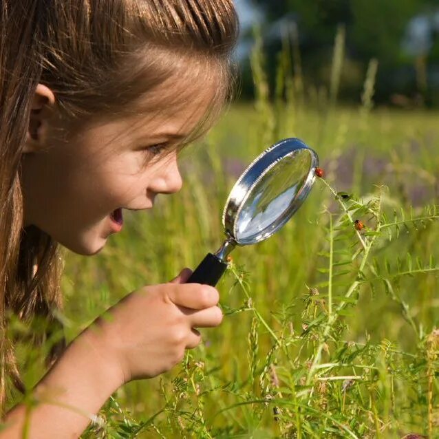 Naturalist add on. Юный натуралист. Юные исследователи природы. Дети наблюдают за природой. Исследование природы дети.