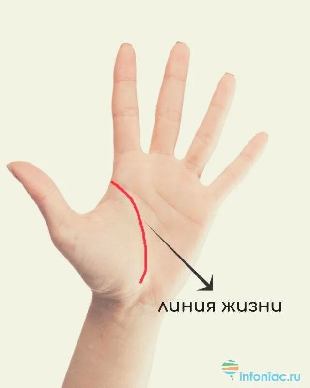 Буква м на руке значение. Линия головы. линии на ладони. линии на руке от большого пальца. линии на руке буква.