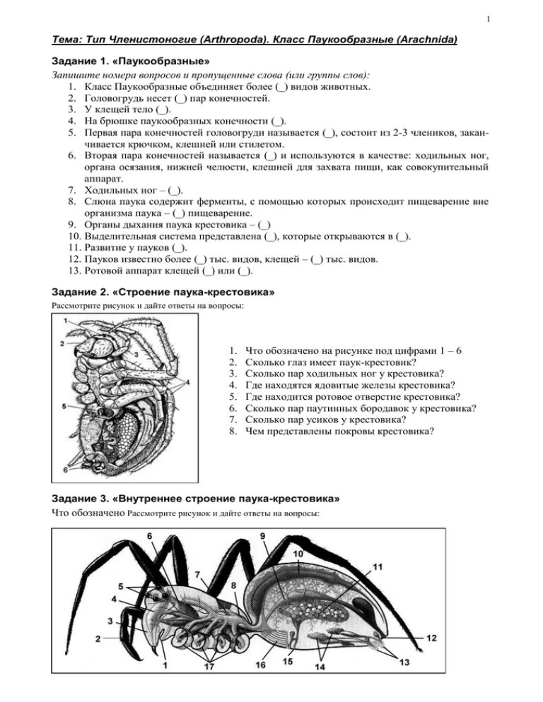 Гекалюк тесты 7 класс. Проверочная работа по биологии 7 класс паукообразные. Задания по теме Членистоногие. Задания класс паукообразные. Тест по биологии 7 класс паукообразные.