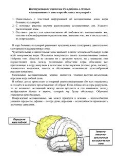 Проводниковый отдел зона коры больших полушарий