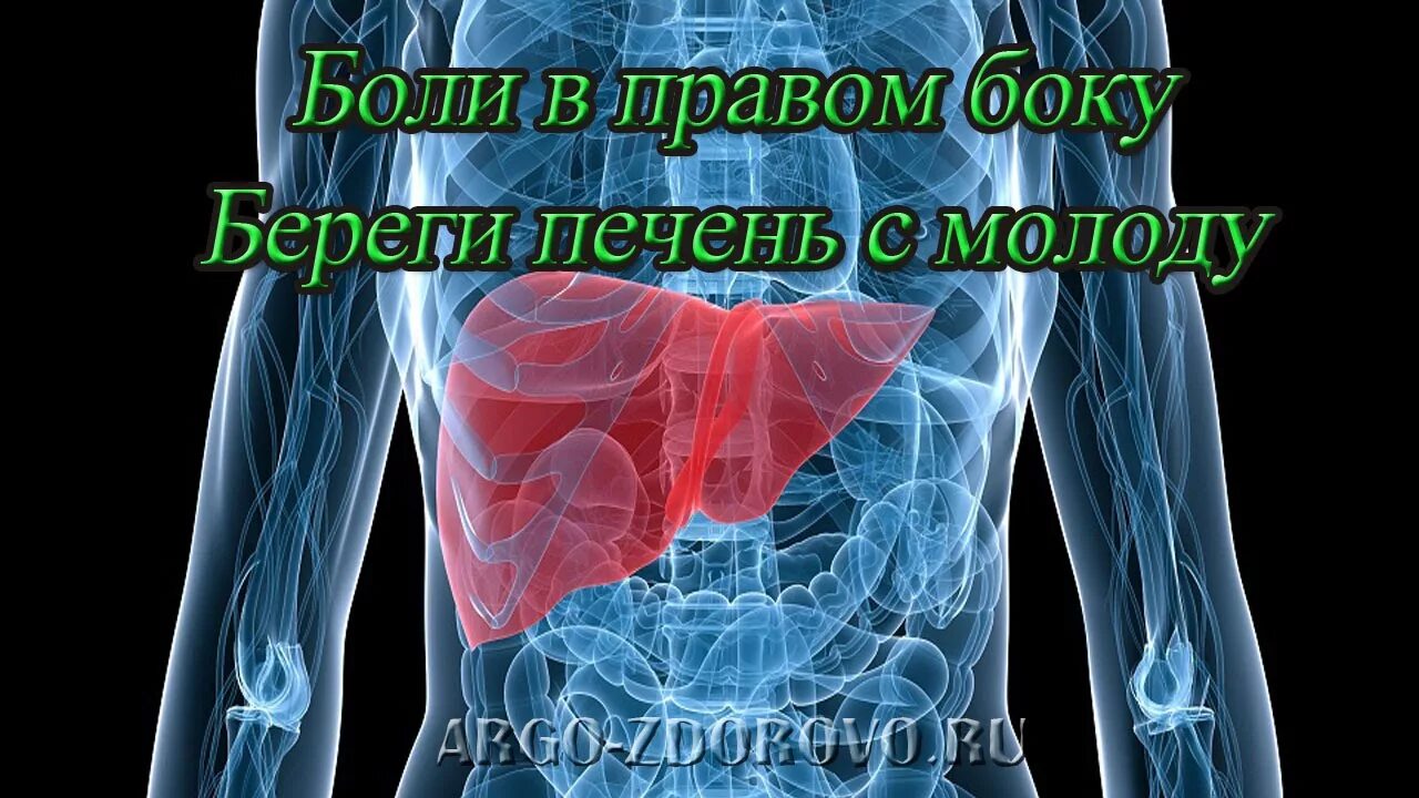 Печень боль в спине. Боль в правом боку печень. Болит правый бок печень. Что если болит печень с правой стороны.