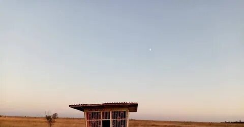 Посреди поля образовалась стена