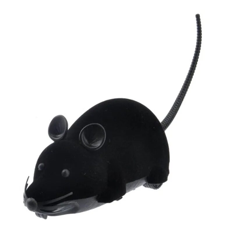 Мышь на пульте. Мышь для фокусов. Мышка на пульте игрушка для кошек. Синяя мышь игрушка.