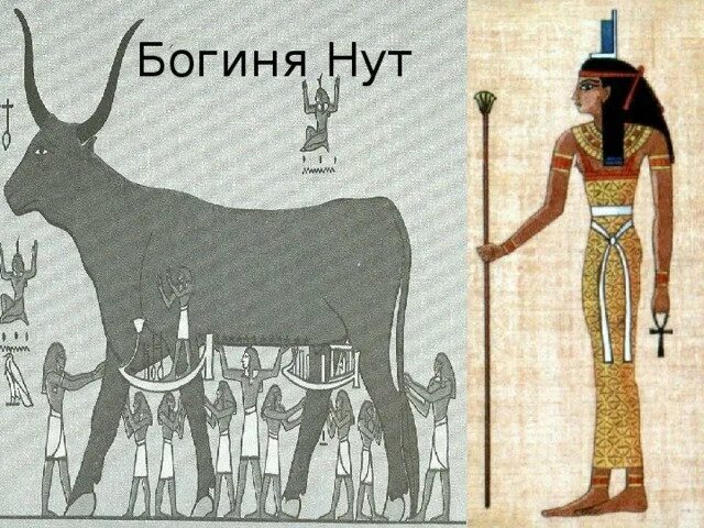 Нут покровитель чего. Нут бог египта. боги египта богиня неба нут. древнеегипетская богиня нут. боги древнего египта богиня неба.